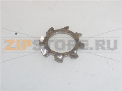 RONDELLA DENTELLATA ESTERNA M6 - 25 Pz 