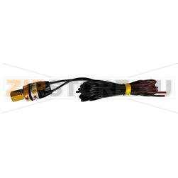 Automatic high pressure switch threaded 