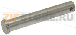 PIN FOR TAP WORM 