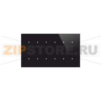 TECO C-WS-1202R-TG-0D