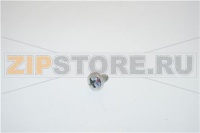 VITE TC+ SW M4X6 ZN AUTOMASCH.