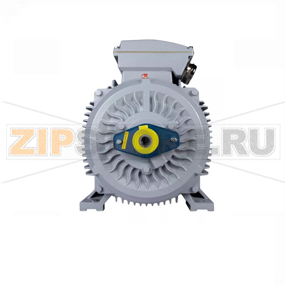 Электродвигатель 90 кВт, 380/660 В, 3000 об/мин, IP55 ESQ 01.05.02.000101 