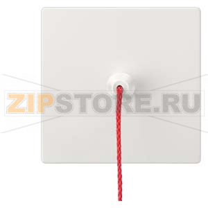 DELTA STYLE КЛАВИША. PULL-BUTTON ТИТАНОВОБЕЛЫЙ Siemens 5TG7151 