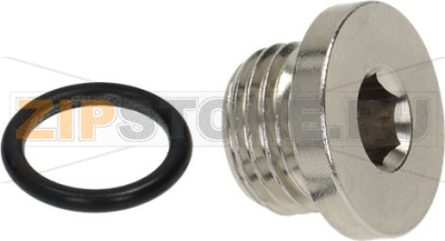 DRAIN SCREW 