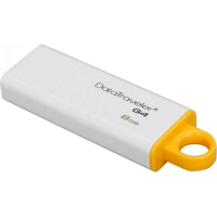 Накопитель USB 8 Гб Kingston DTIG4-8GB-YAN