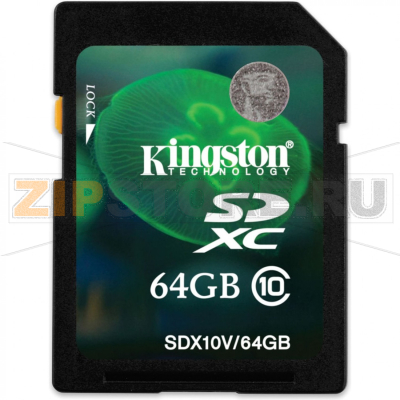 Карта памяти 64 Гб Kingston SDX10V-64GB 