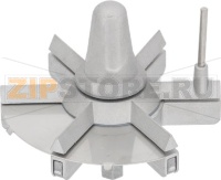 ЗВЕЗДОЧКА В СБОРЕ K8