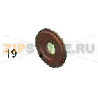 Rondella fermo pistone ot58 Bianchi BVM-952 Rondella fermo pistone ot58 Bianchi BVM-952Запчасть на деталировке под номером: 19Название запчасти Bianchi на итальянском языке: Rondella fermo pistone ot58 BVM-952.