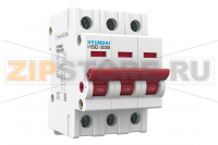 Выключатель нагрузки модульный 32 А, 3 полюса Hyundai Electric HSD100S3PDSS0000C00032_C