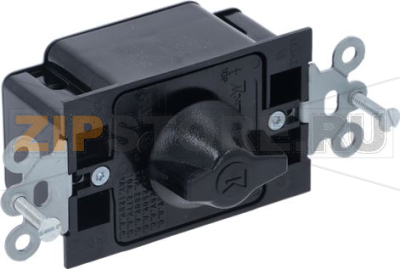 TIMER 10A 250V 