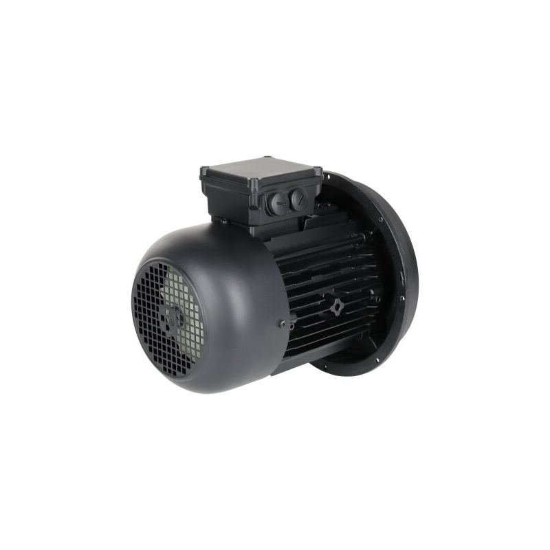 Электродвигатель 3 кВт, 2950 об/мин Weishaupt W-D112/140-2/3K0 