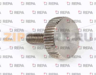 VITE, TESTA ZIGRINATA 