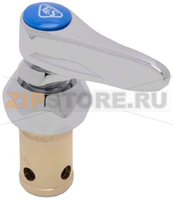 TAP HEAD WITH HANDLE COLD WATER 