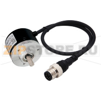 Энкодер инкрементальный с валом, 40 мм Autonics E40S8-100-6-L-24-C