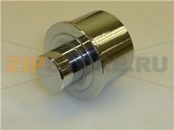 PERNO CERNIERA DX COPERCHIO CROMATO 