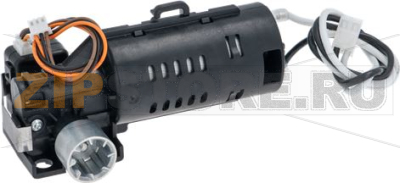 GEAR MOTOR 