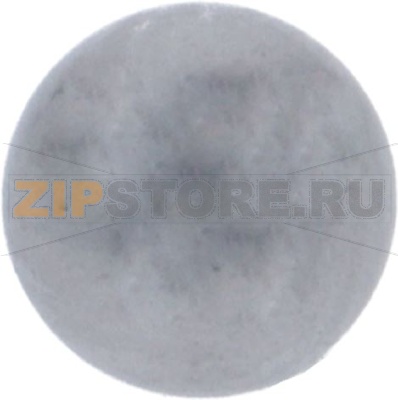 BALL STAINLESS STEEL ø 5,5 mm 