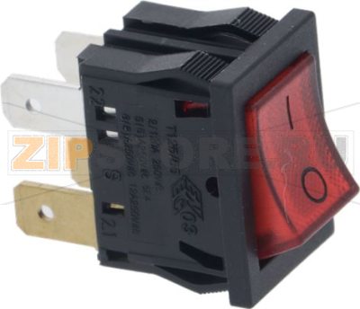 Main Switch 