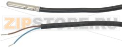SONDA PVC 12V PER TERMOSTATO DIGITALE 