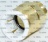 RACCORD DROIT JG 22MC3/4