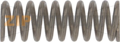 VALVE PUMP PISTON SPRING 