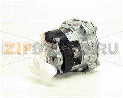 MOTORE A CREMAGLIERA, 120 V, 60 HZ, FSD 