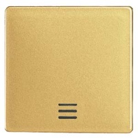 DELTA I-SYSTEM , ARTIST ЯНТАРЬ КЛАВИША С ОКНОМ 55MM X 55MM Siemens 5TG6220-0