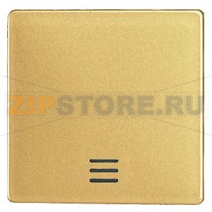 DELTA I-SYSTEM , ARTIST ЯНТАРЬ КЛАВИША С ОКНОМ 55MM X 55MM Siemens 5TG6220-0 