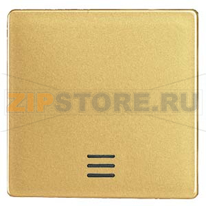 DELTA I-SYSTEM , ARTIST ЯНТАРЬ КЛАВИША С ОКНОМ 55MM X 55MM Siemens 5TG6220-0 