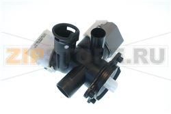 Drain and circulation pump 