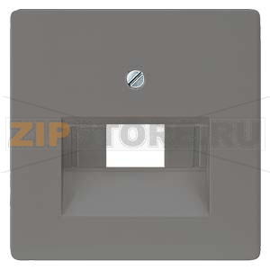 DELTA I-SYSTEM  ЧЕРНЫЙ МЕТАЛЛИК КРЫШКА СИСТЕМНОЙ РОЗЕТКИ CAT.3+5/ BTR CAT.6 55X55MM Siemens 5TG1227 
