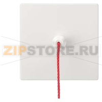 DELTA STYLE КЛАВИША. PULL-BUTTON ПЛАТИНОВЫЙ МЕТАЛЛИК Siemens 5TG7151-1