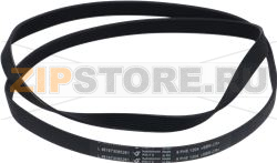 BELT 8 PHE 1204 WHIRLPOOL 481235818167 