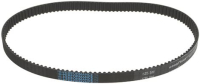 CINGHIA DENTATA 635 RPP5 13