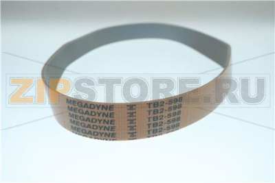 CINGHIA PIATTA SIGLA TB2 598 H24 12 GOLE 
