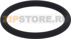 GASKET [C] 47X5,34 