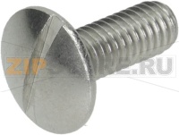 SCREW WITH COUNTERSUNK HEAD WITH CAP M6x