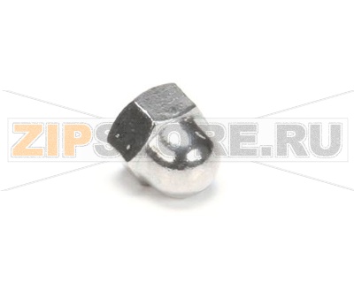 NUT 1/4-20 ACORN SS F 