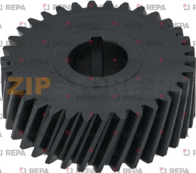 НИЖНЯЯ ШЕСТЕРНЯ Ø 75 MM 