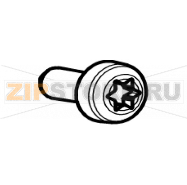 Винты M2.5x6 (30 шт) Zebra TTP21x0 Винты M2.5x6 (30 шт) для принтера Zebra TTP21x0Количество запчастей в устройстве: 30Название запчасти Zebra на английском языке: Kit Screw M2.5 X 6