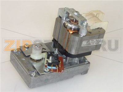 ASSIEME MOTORIDUTTORE TP110 120V 60Hz 