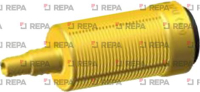CREPINE LESTEE JAUNE