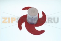 MOZZO COMPL.COLT.PESTO      C4