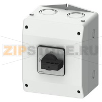 SENTRON Разъединитель 3LD in molded-plastic enclosure , repair and maintenance switch with EMC plate, 3-пол.Iu: 63A, AC23A 400V at 50/60Hz: 22kW, used with frequency converter: AC20 400V at 0-550Hz: 18,5kW, 1NO + 1NC 20-150ms leading,​ molded-plastic enca