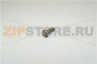SCREW, PNHSLTD Z/WCPL.25 20x.5