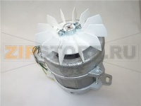 MOTORE COMPLETO TRIFASE