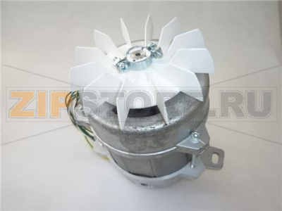 MOTORE COMPLETO TRIFASE 