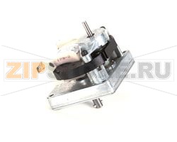 MOTORE A CREMAGLIERA, 120 V, 60 HZ, 1 