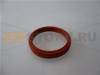 GUARNIZIONE A LABBRO