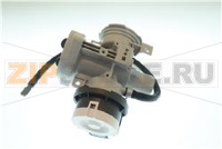 Pump Assembly,Drain